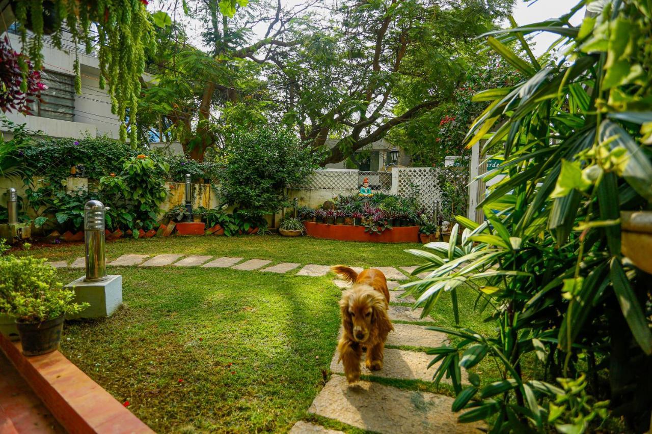 Terrace Gardens Bed & Breakfast Bangalore Dış mekan fotoğraf